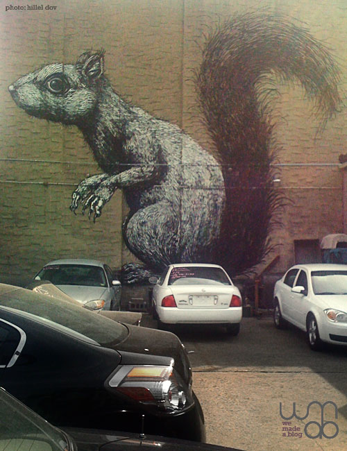Brooklyn Squirrel